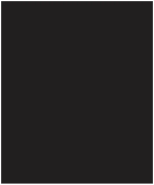 Skydecor WARM BLACK