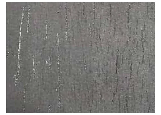 Skydecor GUNMETAL GREY METALLIC