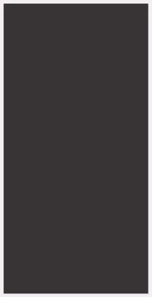 Skydecor WARM BLACK
