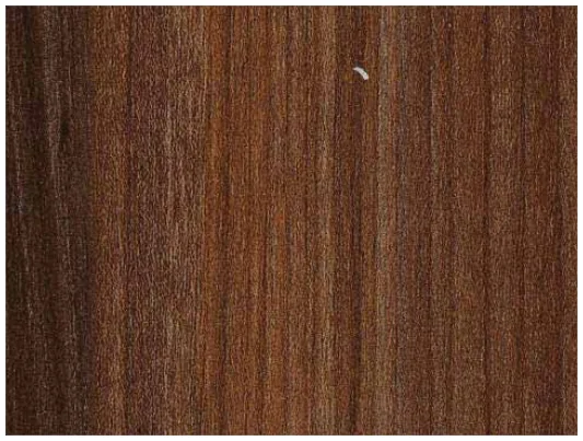 Skydecor CALIFORNIA ELM
