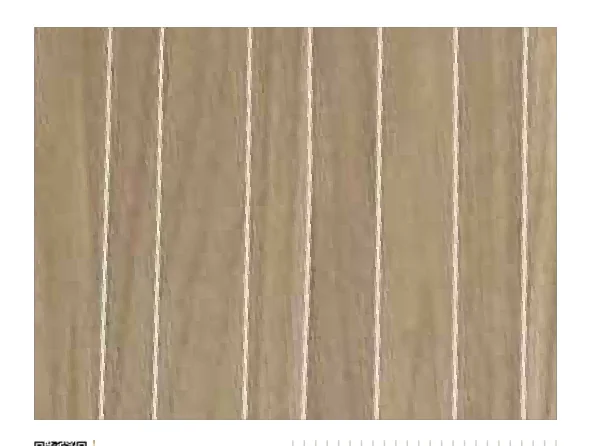 Skydecor DARK CLIFTON OAK