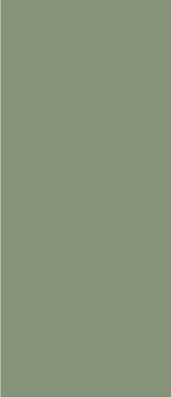 Safedecor Design 10-085
