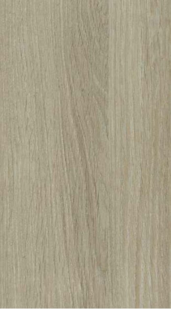 Safedecor Design 11-470